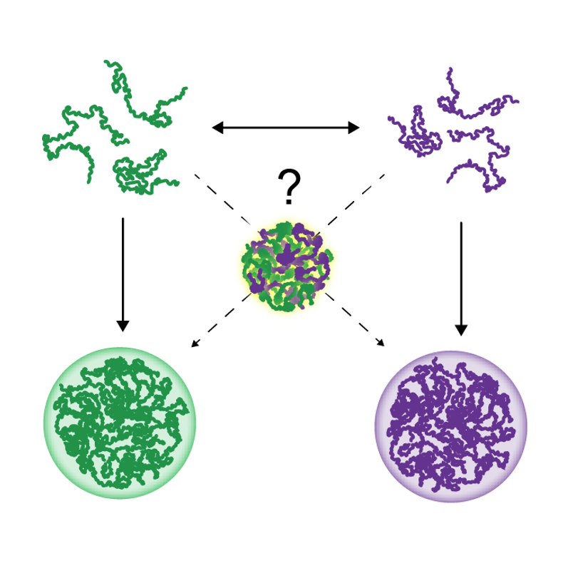 CRISPR Breakthrough: New Treatment for Genetic Disorders