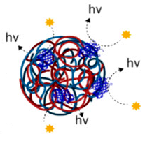 Assembly of a Light-Emitting Enzymatic Reaction into Model Protein Condensates