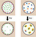 Optochemical Control of Protein Localization and Activity Within Cell-Like Compartments